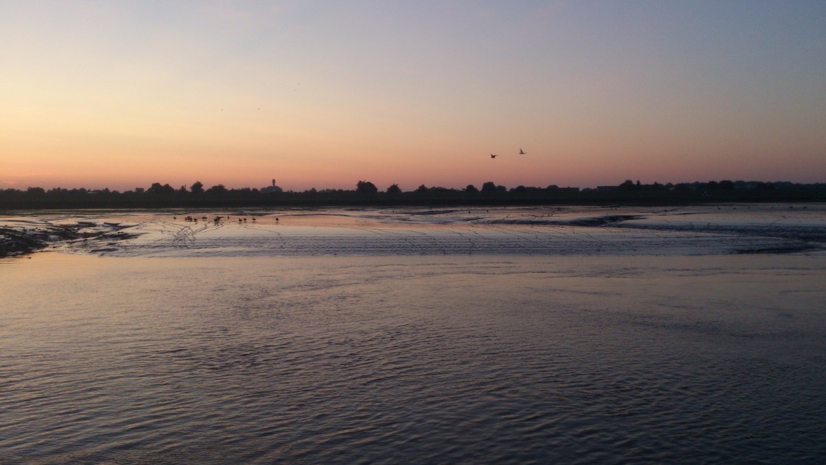 2014-07-22 Haderslev-Paris, 1. etappe i Tyskland - Ved elven Elben.