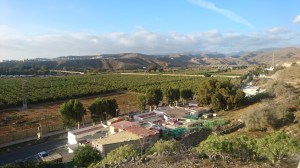 2017-01-14-gran-canaria-11